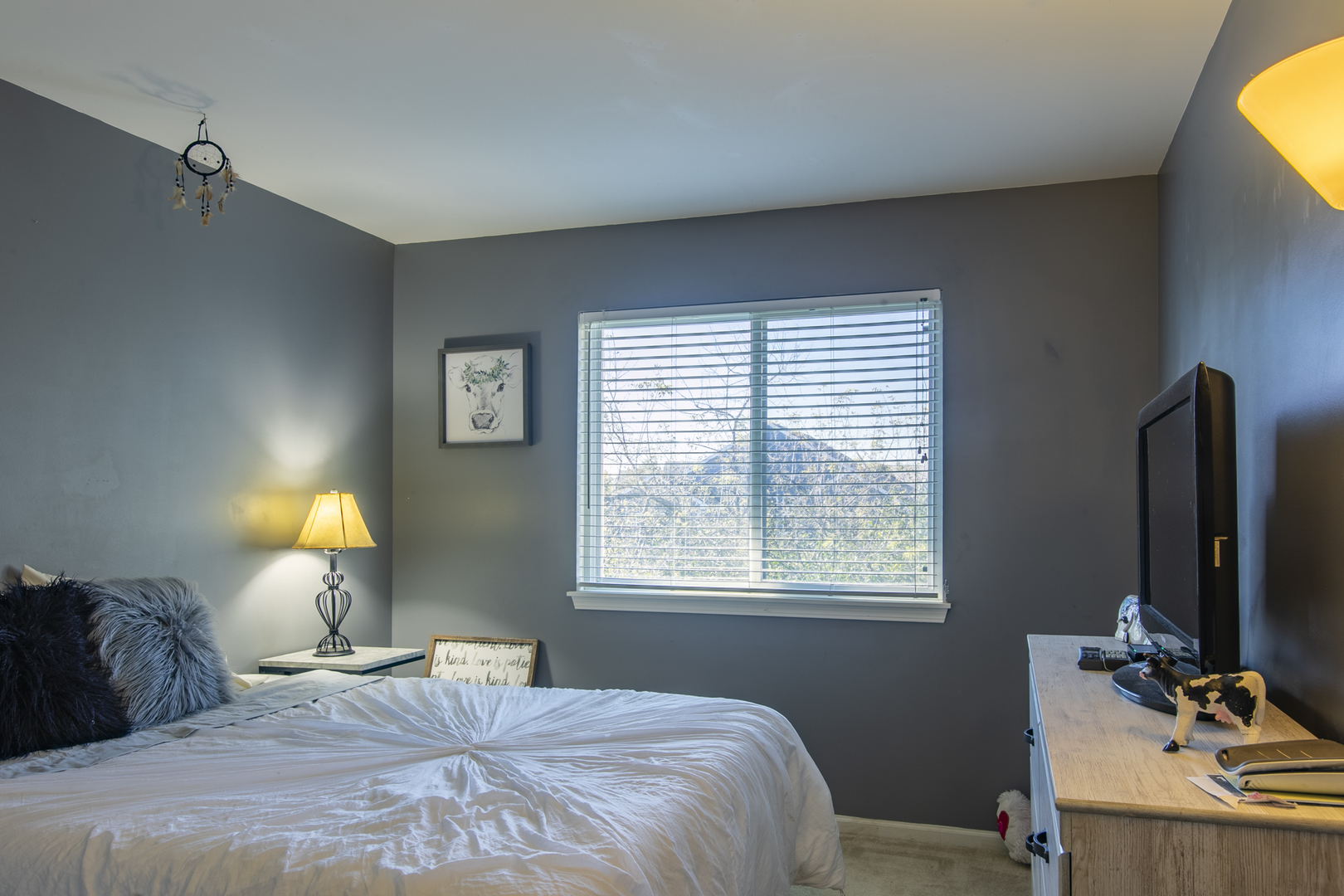 768 North Overlook Trail Round Lake, IL 60073 - Photo 32 of 34 a bedroom with a bed and a window