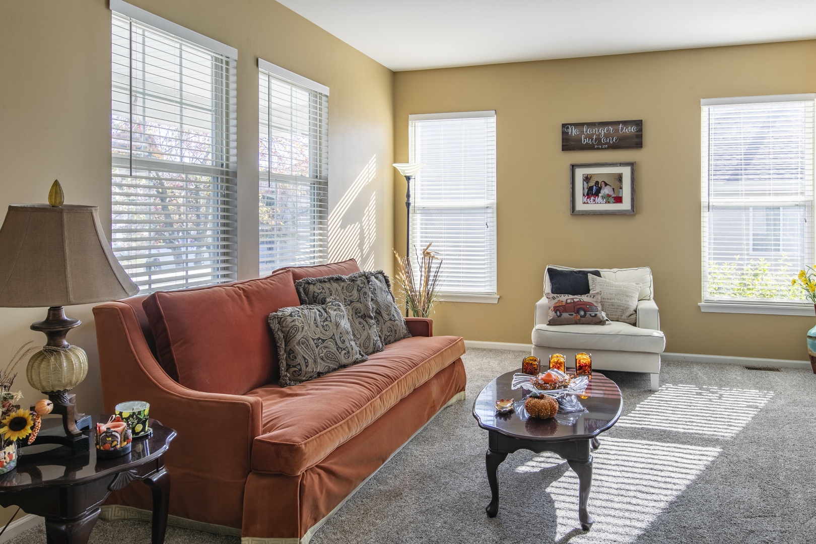 768 North Overlook Trail Round Lake, IL 60073 - Photo 7 of 34 a living room with furniture and a window
