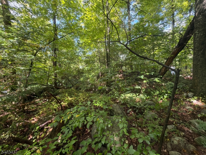 0 Ridge Road Oak Ridge, NJ 07438 - Photo 7 of 8 Gallery Image 7