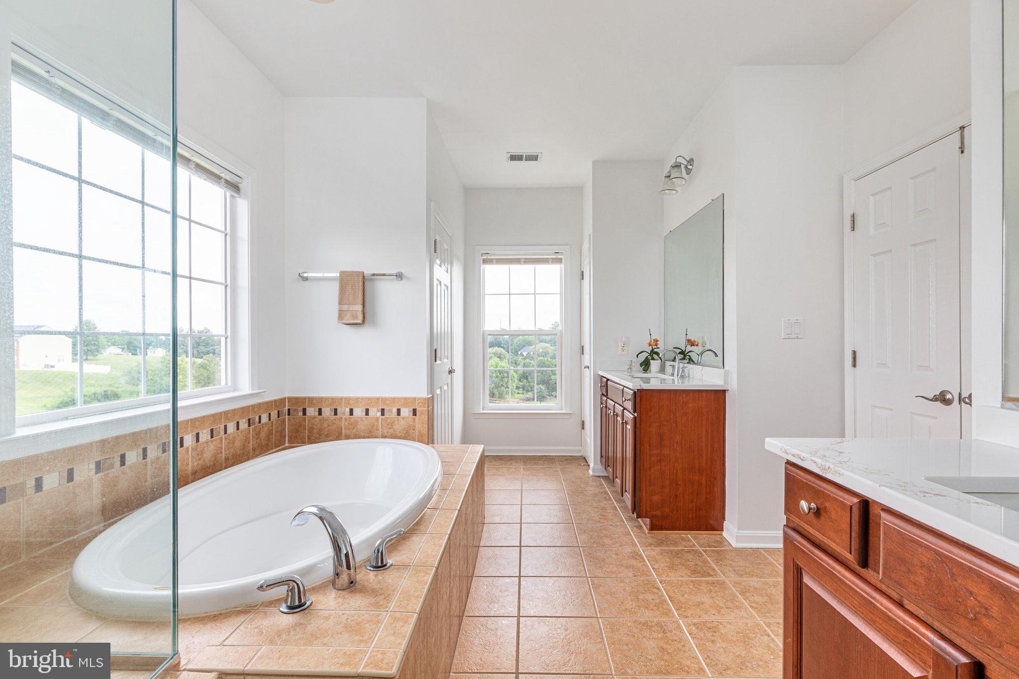 38786 Rambling Farm Drive Hamilton, VA 20158 - Photo 43 of 97 Primary bath