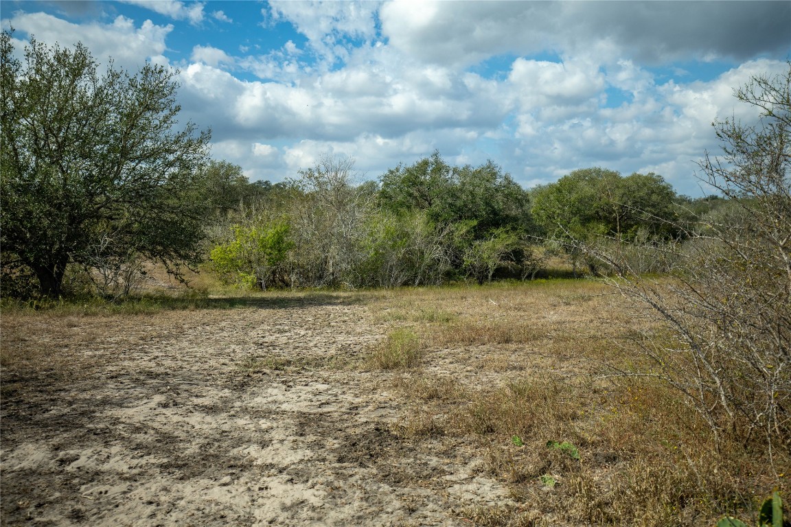 698 Hilbrich Road Westhoff, TX 77994 - Photo 12 of 40 a view of an outdoor space with trees