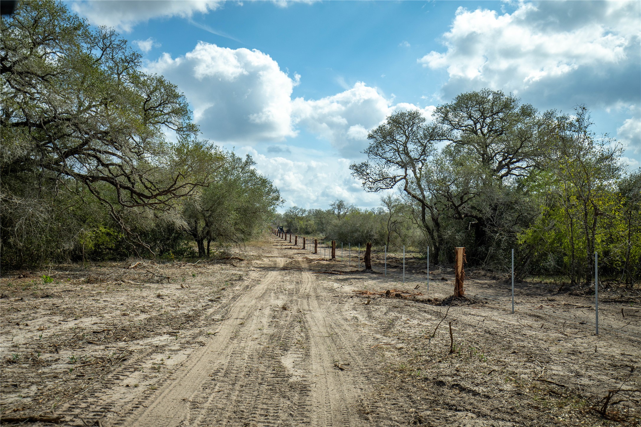 698 Hilbrich Road Westhoff, TX 77994 - Photo 13 of 40 a backyard of a house with lots of green space