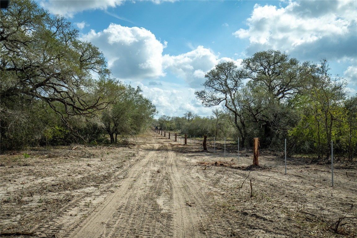 698 Hilbrich Road Westhoff, TX 77994 - Photo 13 of 40 a backyard of a house with lots of green space