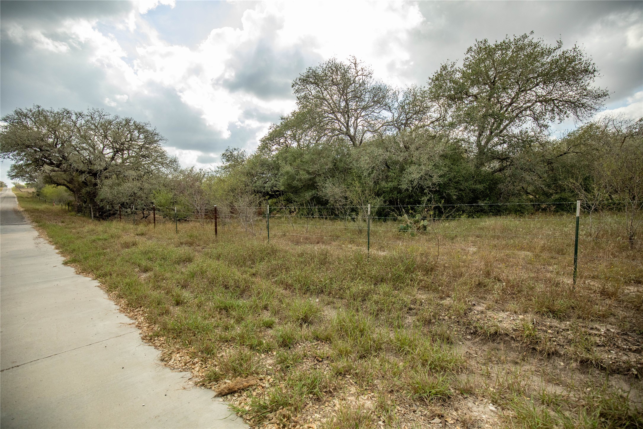 698 Hilbrich Road Westhoff, TX 77994 - Photo 9 of 40 a view of a dry yard with trees