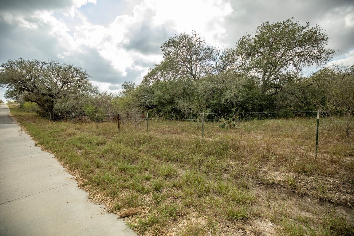 698 Hilbrich Road Westhoff, TX 77994 - Photo 9 of 40 a view of a dry yard with trees