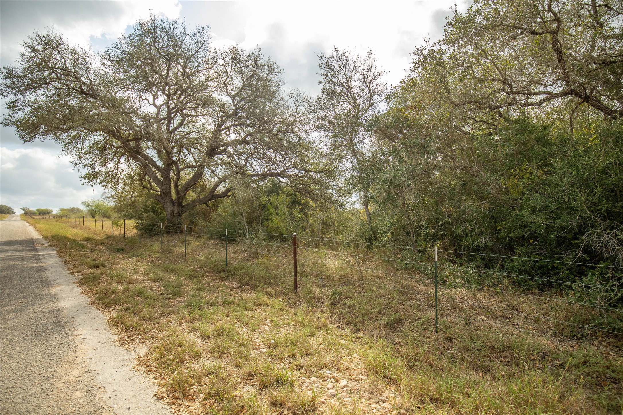 698 Hilbrich Road Westhoff, TX 77994 - Photo 10 of 40 a view of a forest with a bench