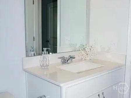 $2,900 | 115 Old Field Run, Richmond Hill, GA 31324