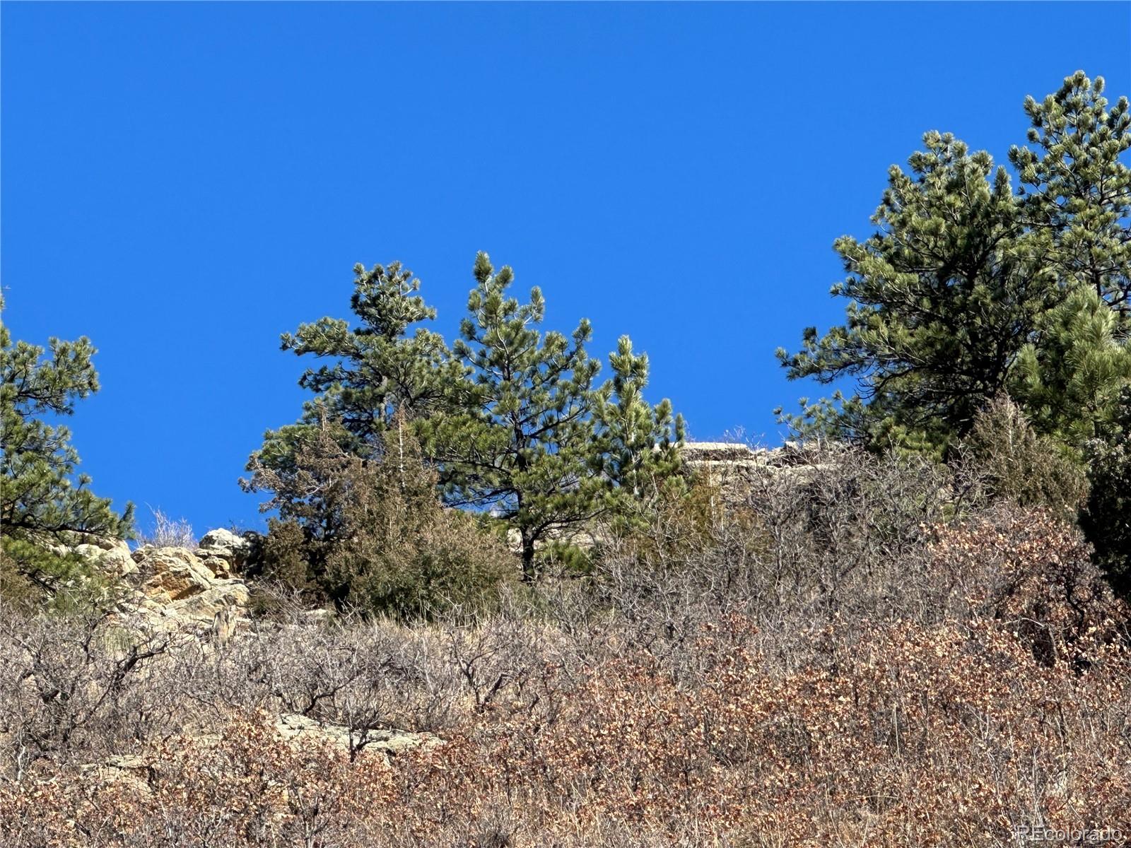 6668 Old Ranch Trail Littleton, CO 80125 - Photo 2 of 5