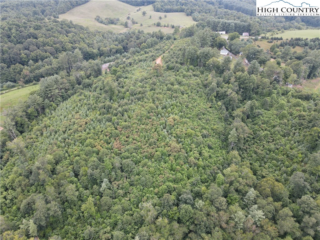 Laurel Fork Road Laurel Springs, NC 28644 - Photo 1 of 37 Gallery Image 1