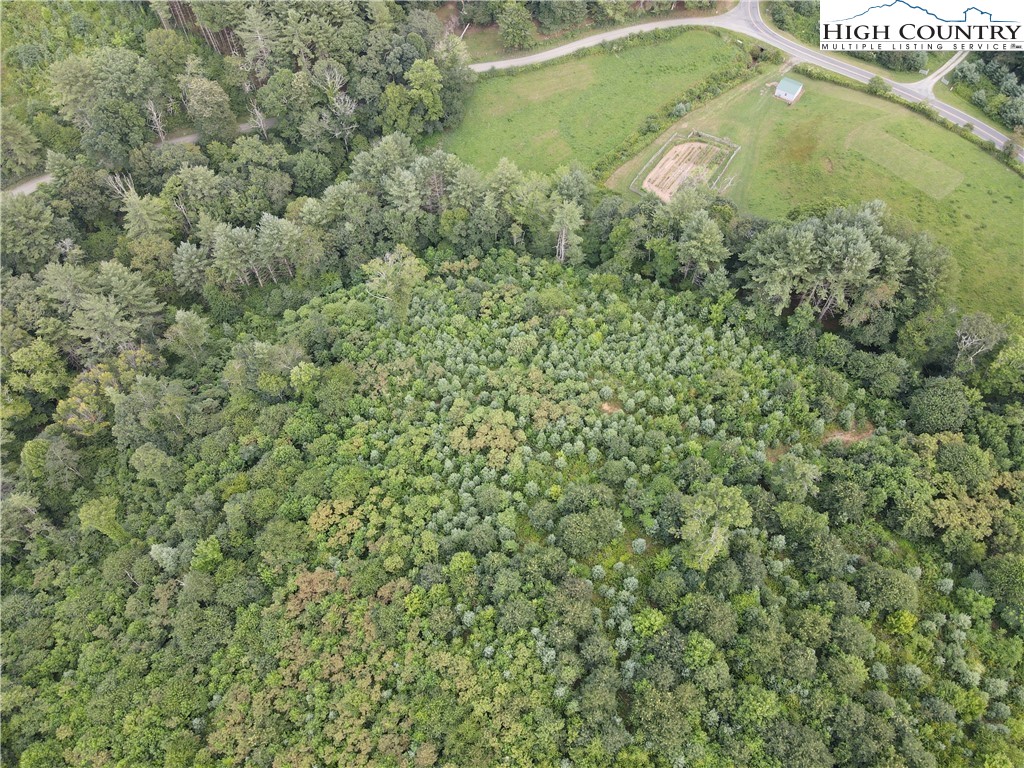 Laurel Fork Road Laurel Springs, NC 28644 - Photo 12 of 37 Gallery Image 12