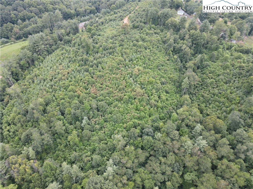 Laurel Fork Road Laurel Springs, NC 28644 - Photo 22 of 37 Gallery Image 22