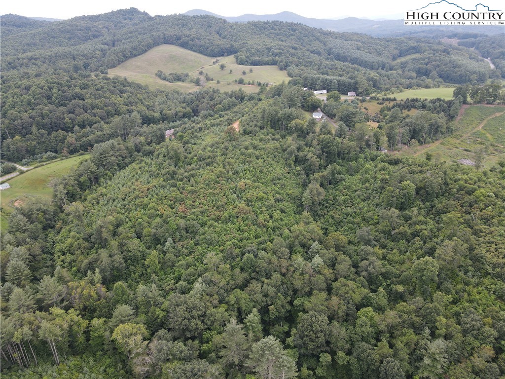 Laurel Fork Road Laurel Springs, NC 28644 - Photo 24 of 37 Gallery Image 24