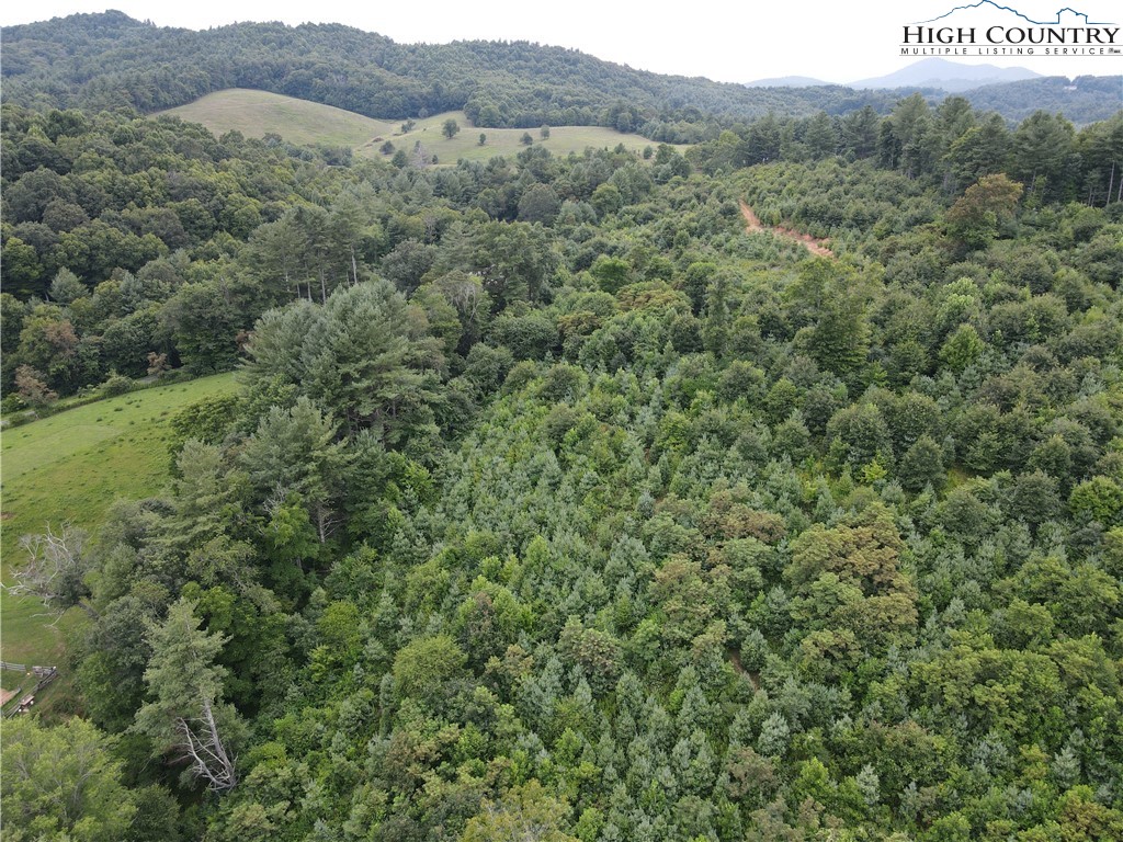 Laurel Fork Road Laurel Springs, NC 28644 - Photo 36 of 37 Gallery Image 36