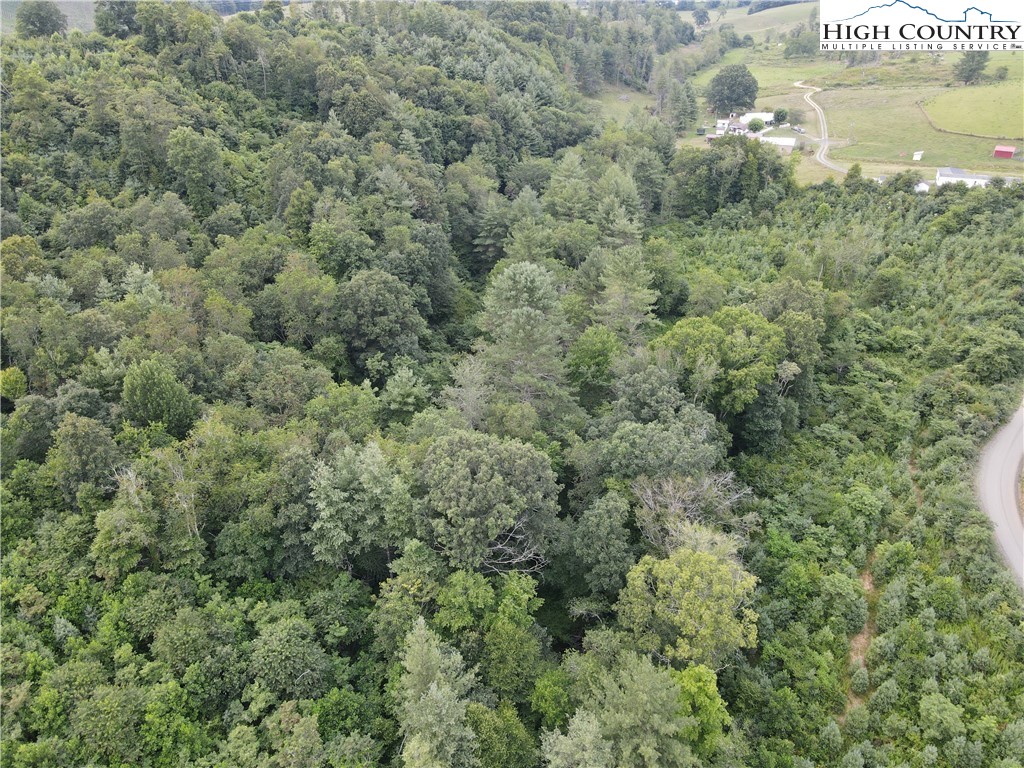 Laurel Fork Road Laurel Springs, NC 28644 - Photo 37 of 37 Gallery Image 37