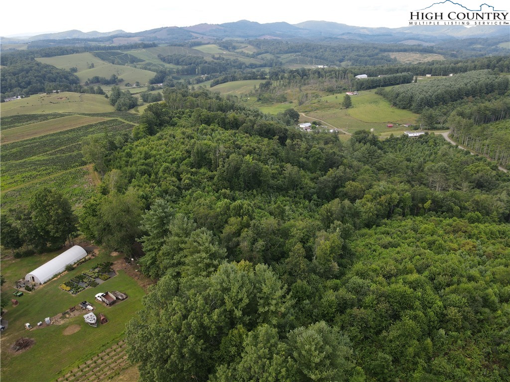Laurel Fork Road Laurel Springs, NC 28644 - Photo 5 of 37 Gallery Image 5