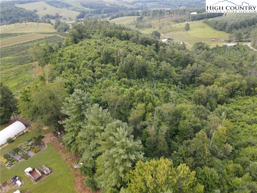 Laurel Fork Road Laurel Springs, NC 28644 - Photo 7 of 37 Gallery Image 7