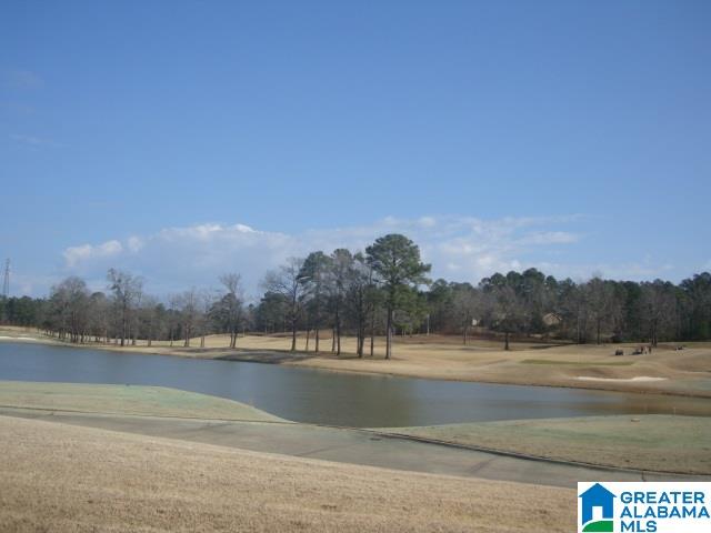 1056 Seminole Place Calera, AL 35040 - Photo 27 of 41