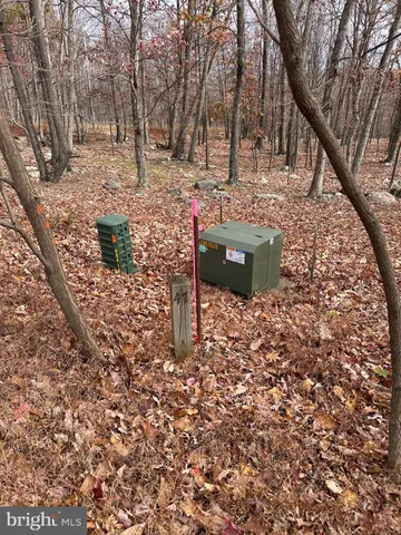 a view of a yard with plants and trees