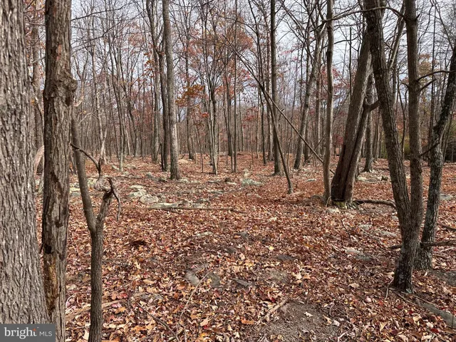 a view of outdoor space with trees