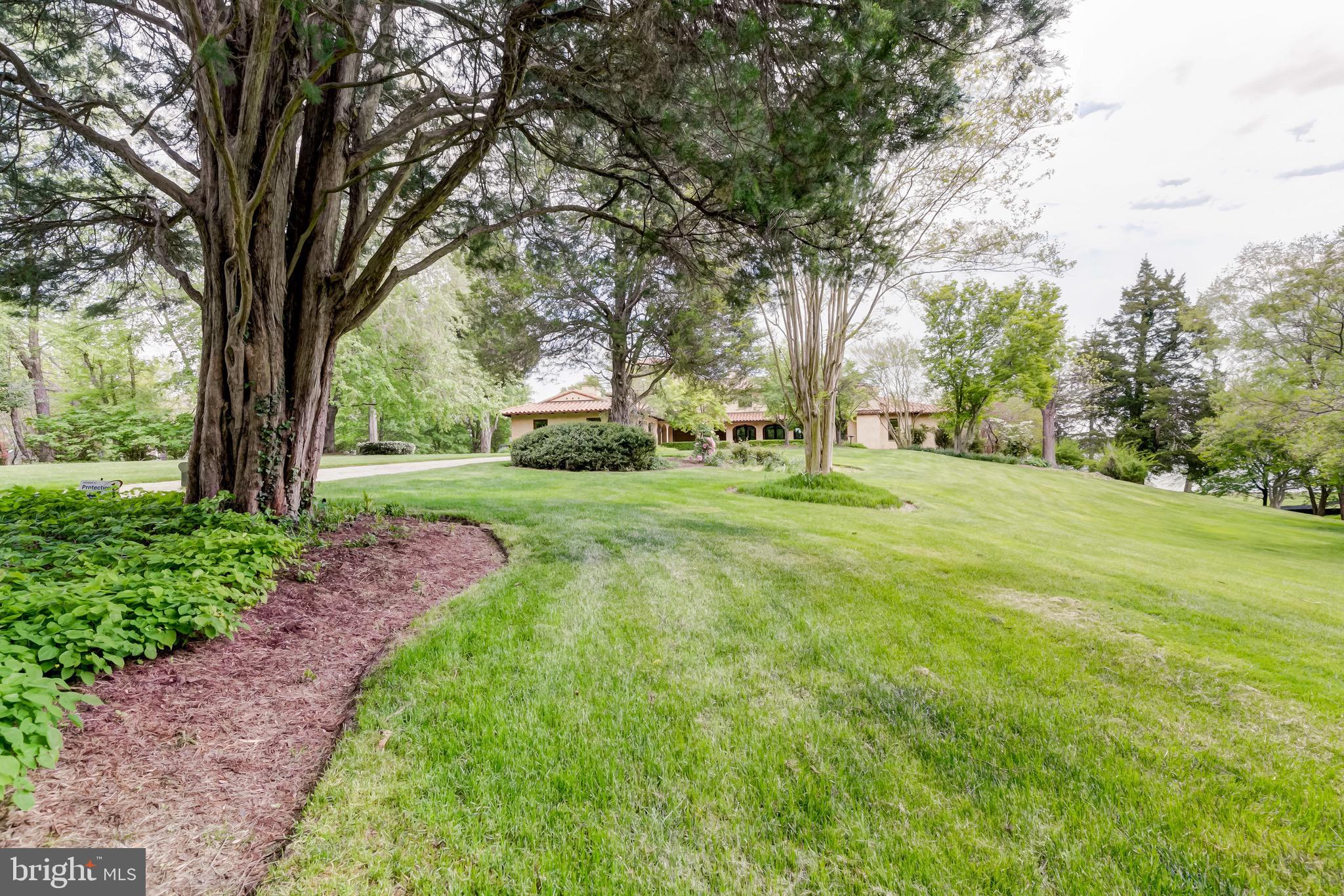 833 Londontown Road Edgewater, MD 21037 - Photo 6 of 100 Landscaped w/Specimen Trees like Cherry & Magnolia
