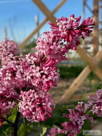 $749,000 | 4406 East 100 North, Rigby, ID 83442