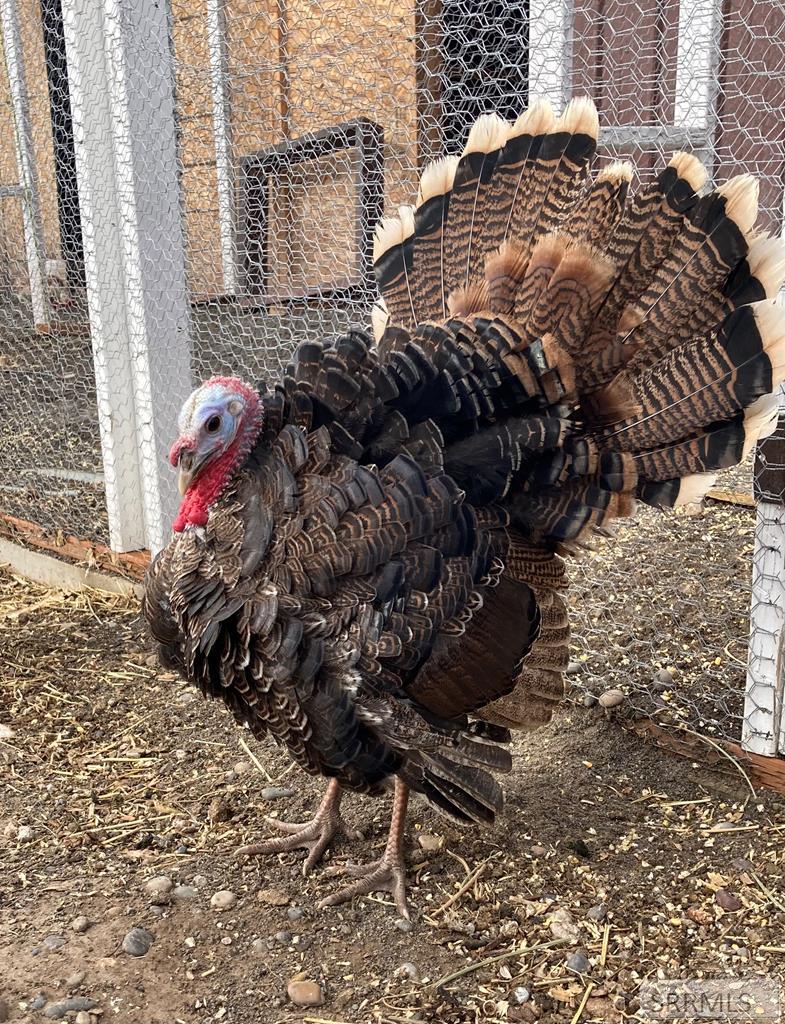 4406 East 100 North Rigby, ID 83442 - Photo 91 of 97