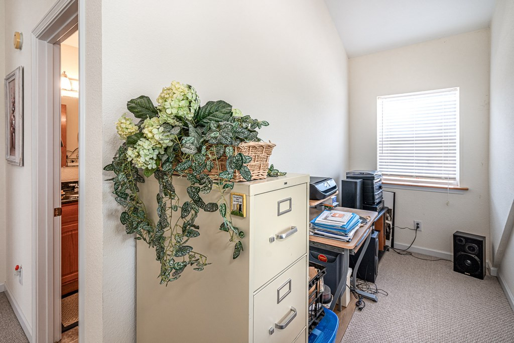 210 Pin Oak Ridge Murphy, NC 28906 - Photo 22 of 51