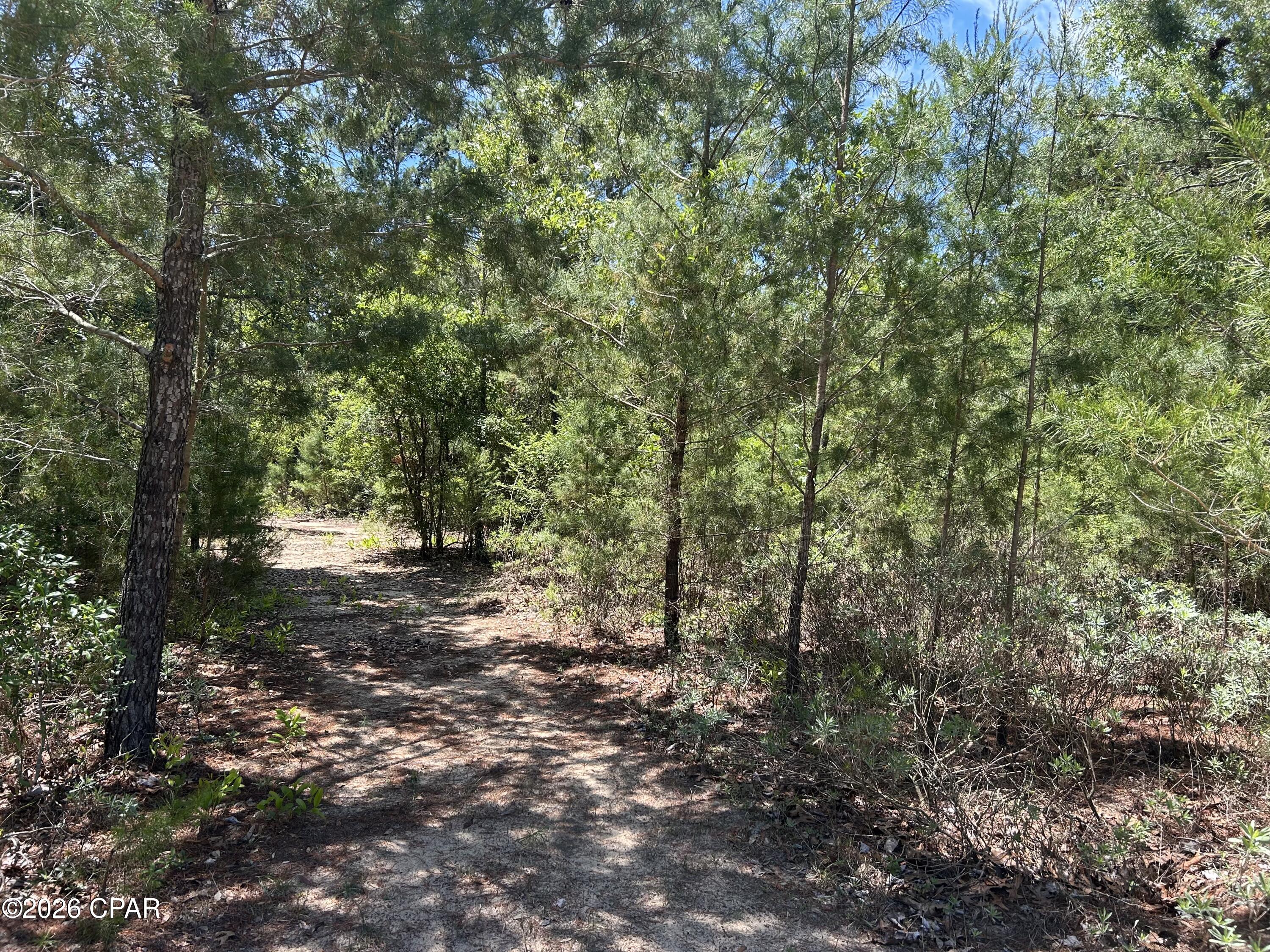 0 Bonnett Pond Road Chipley, FL 32428 - Photo 7 of 9