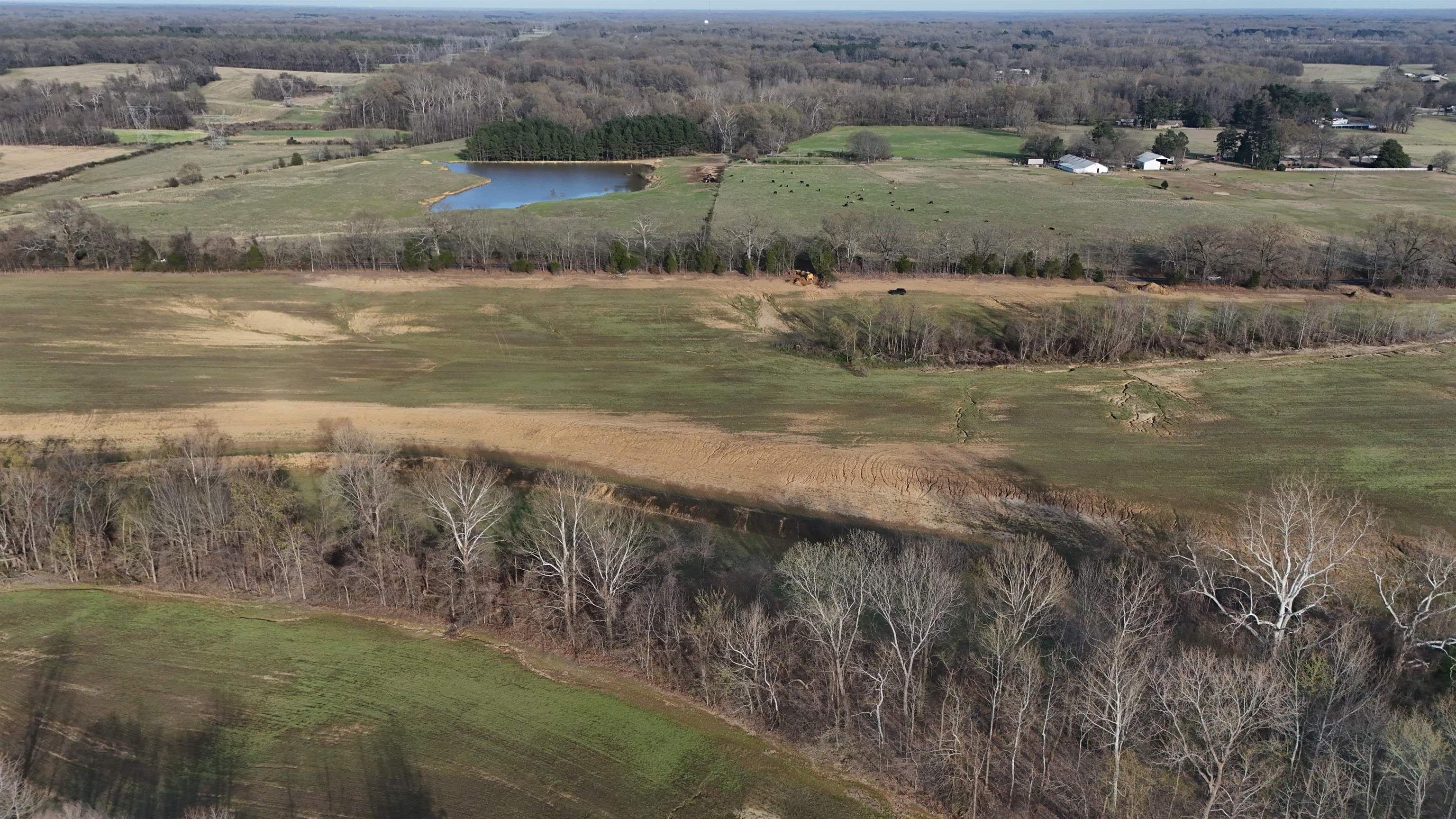 8324 Mudville Road Atoka, TN 38004 - Photo 4 of 8