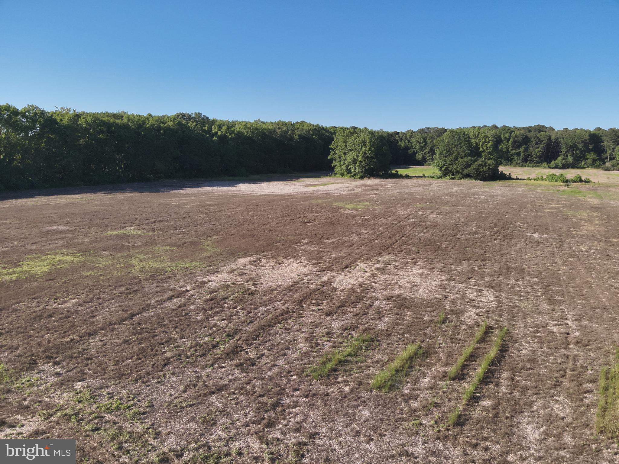 Dinges Road Berlin, MD 21811 - Photo 21 of 22