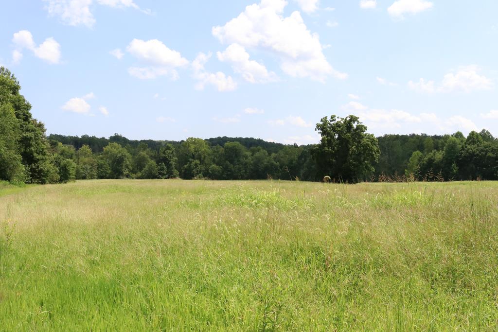 424-426 Cook Johnson Road Prospect, VA 23960 - Photo 33 of 37 Gallery Image 33
