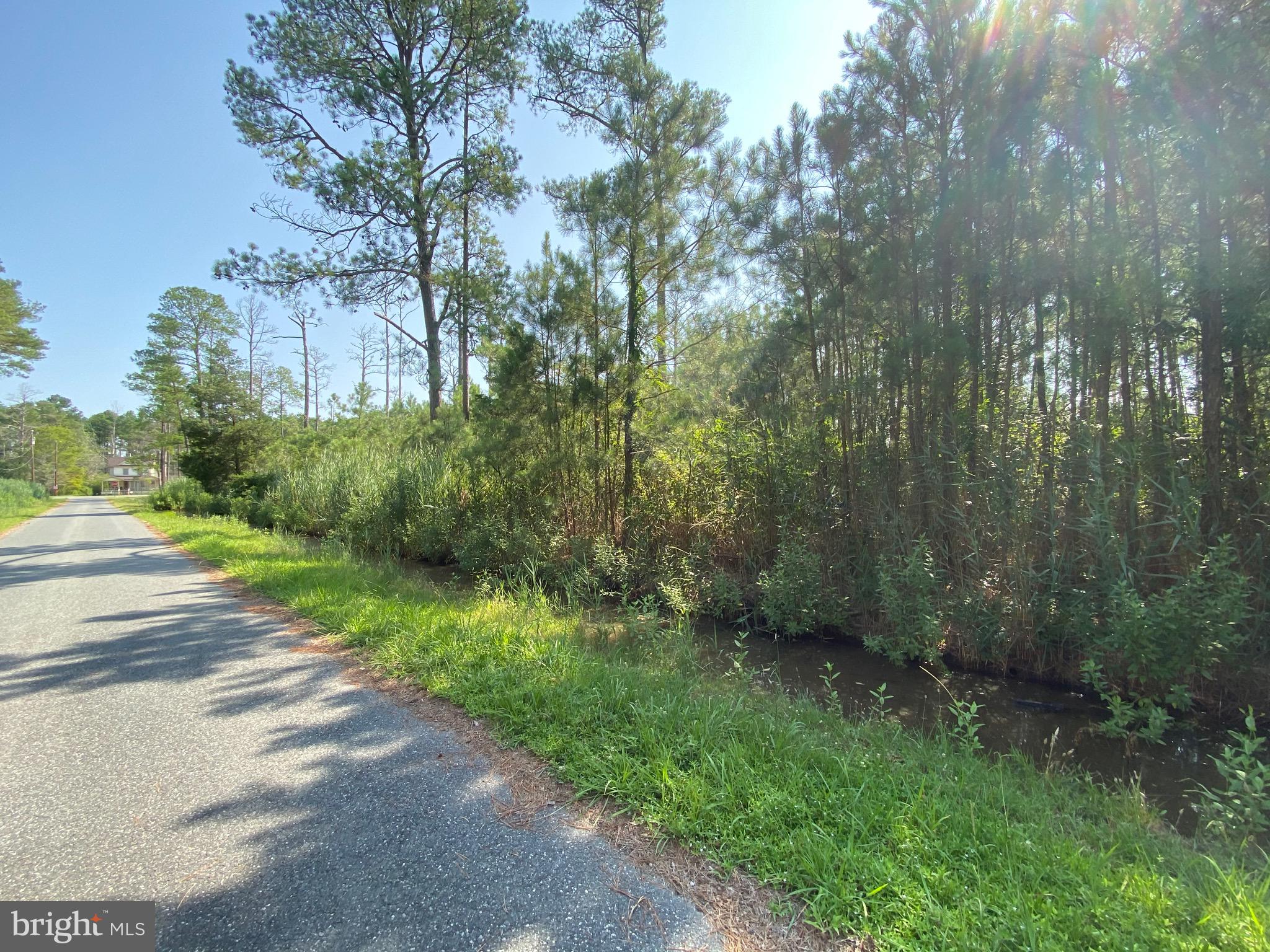 823 Tom Coulbourne Road Crisfield, MD 21817 - Photo 1 of 5