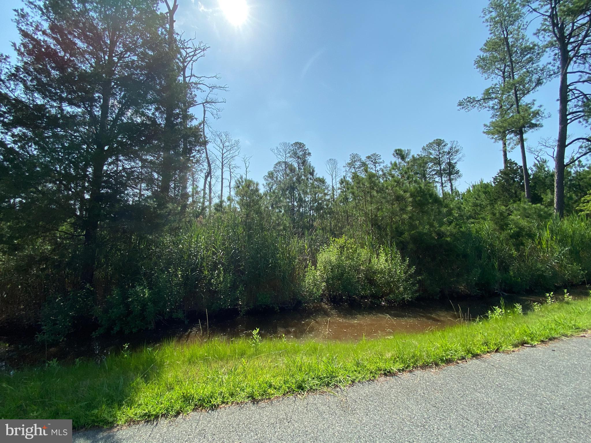823 Tom Coulbourne Road Crisfield, MD 21817 - Photo 4 of 5