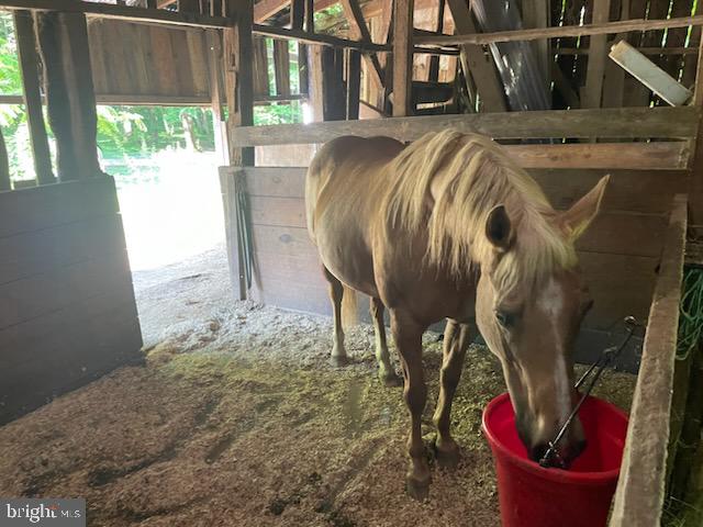 6364 McKendree Road Dunkirk, MD 20754 - Photo 40 of 43 Stall