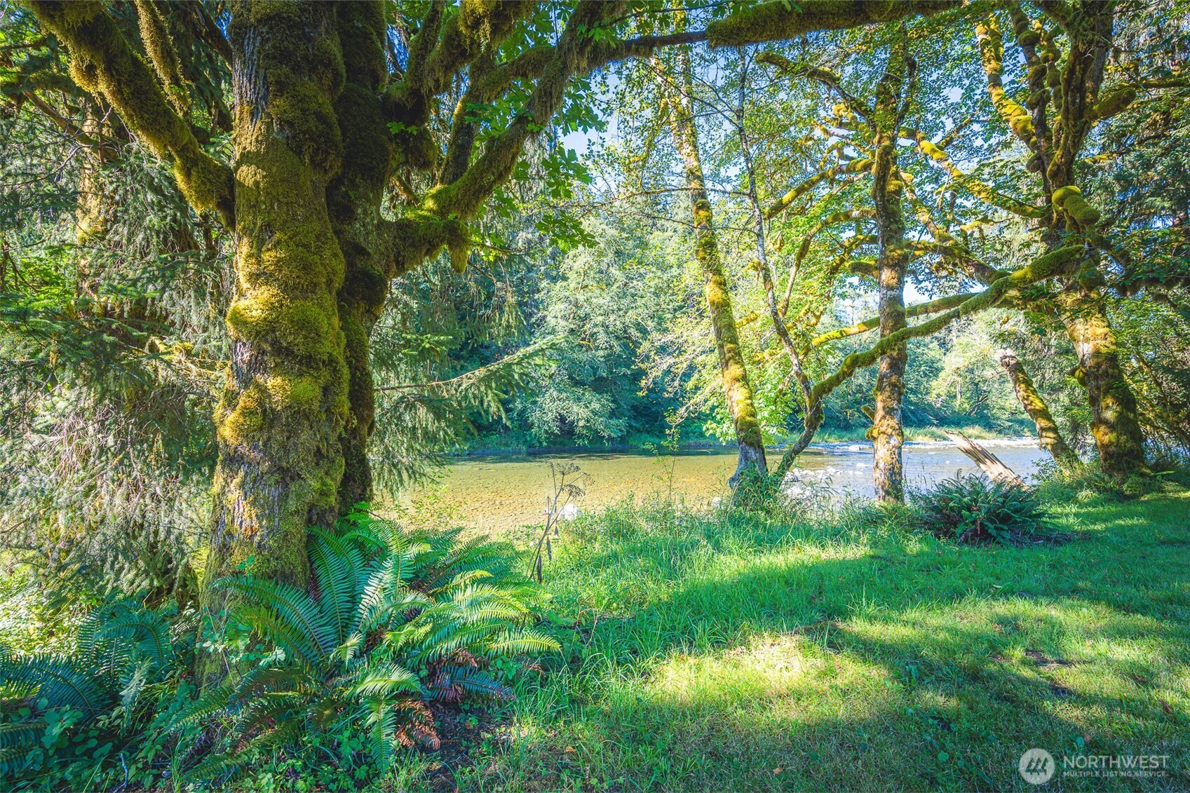 173 Pleasant Meadows Lane Beaver, WA 98305 - Photo 32 of 40 a view of a garden with a tree