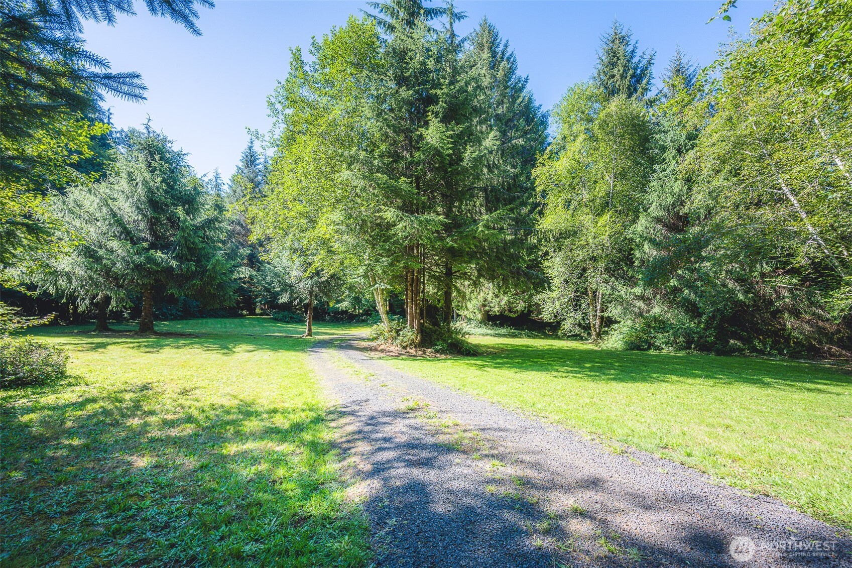 173 Pleasant Meadows Lane Beaver, WA 98305 - Photo 39 of 40 a view of a trees in a yard
