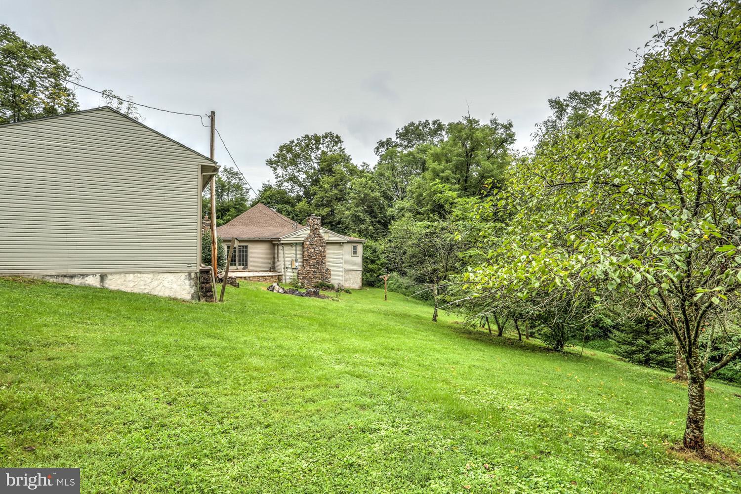 1675 Conewago Creek Road Manchester, PA 17345 - Photo 24 of 28 Fruit trees lining the property