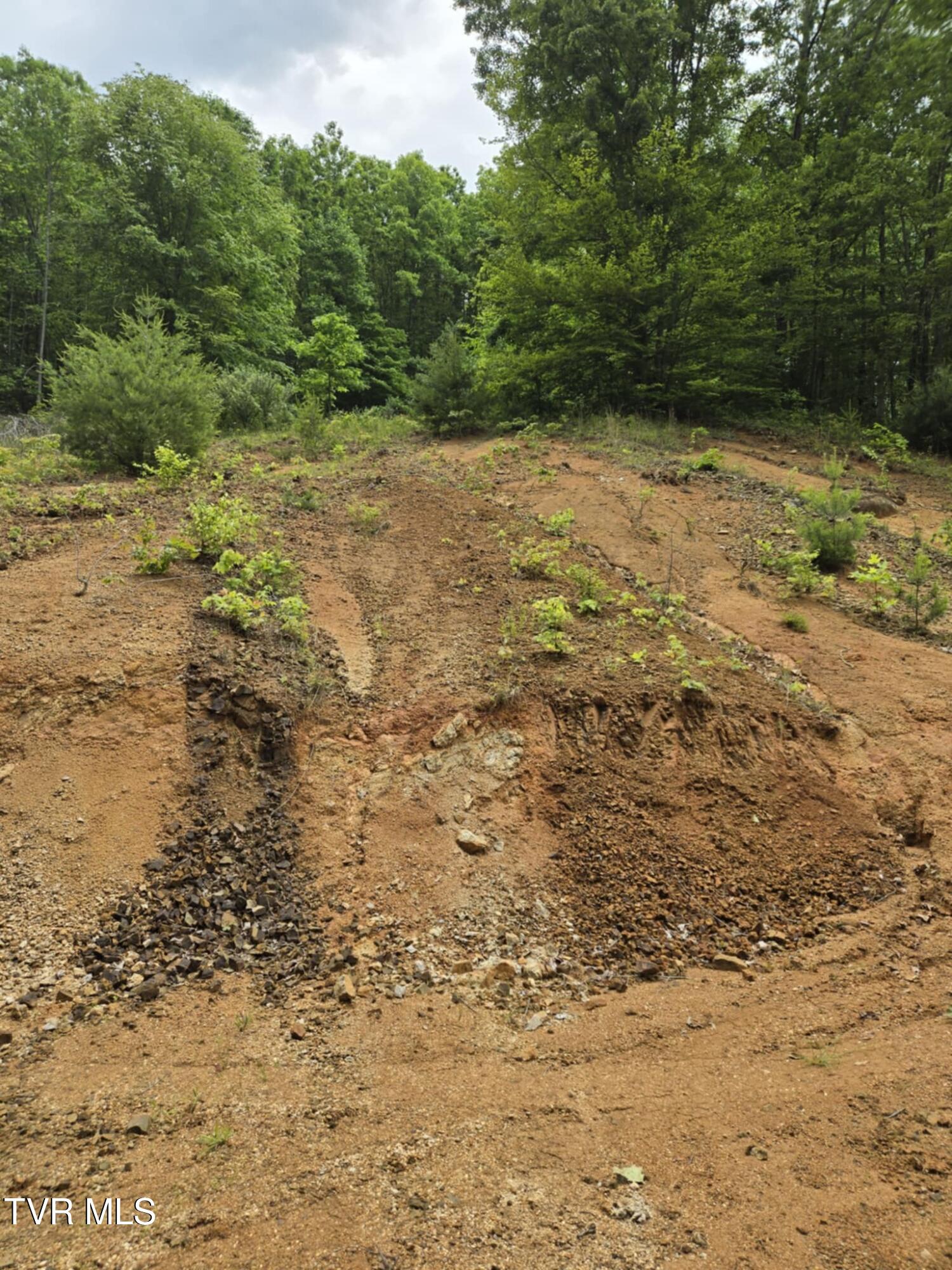 719 Simerly Creek Road Hampton, TN 37658 - Photo 11 of 16 Messenger_creation_89296A14-AAE5-475C-AA