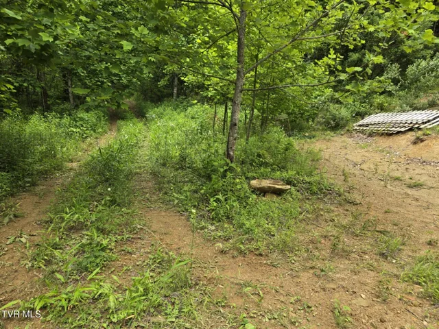 $85,000 | 719 Simerly Creek Road, Hampton, TN 37658