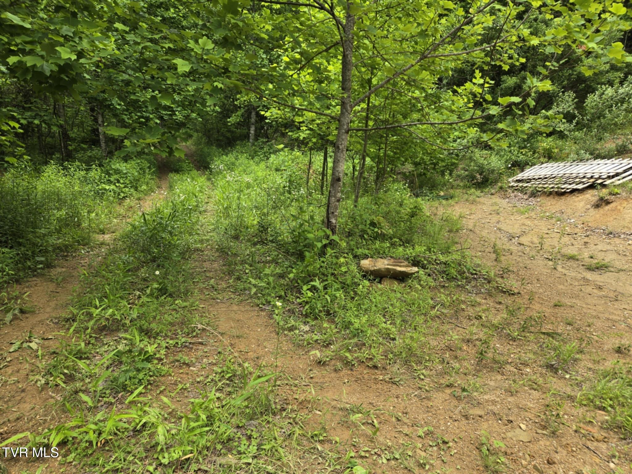 719 Simerly Creek Road Hampton, TN 37658 - Photo 12 of 16 Messenger_creation_AD93F79F-4853-4422-92