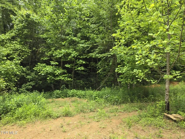 $85,000 | 719 Simerly Creek Road, Hampton, TN 37658