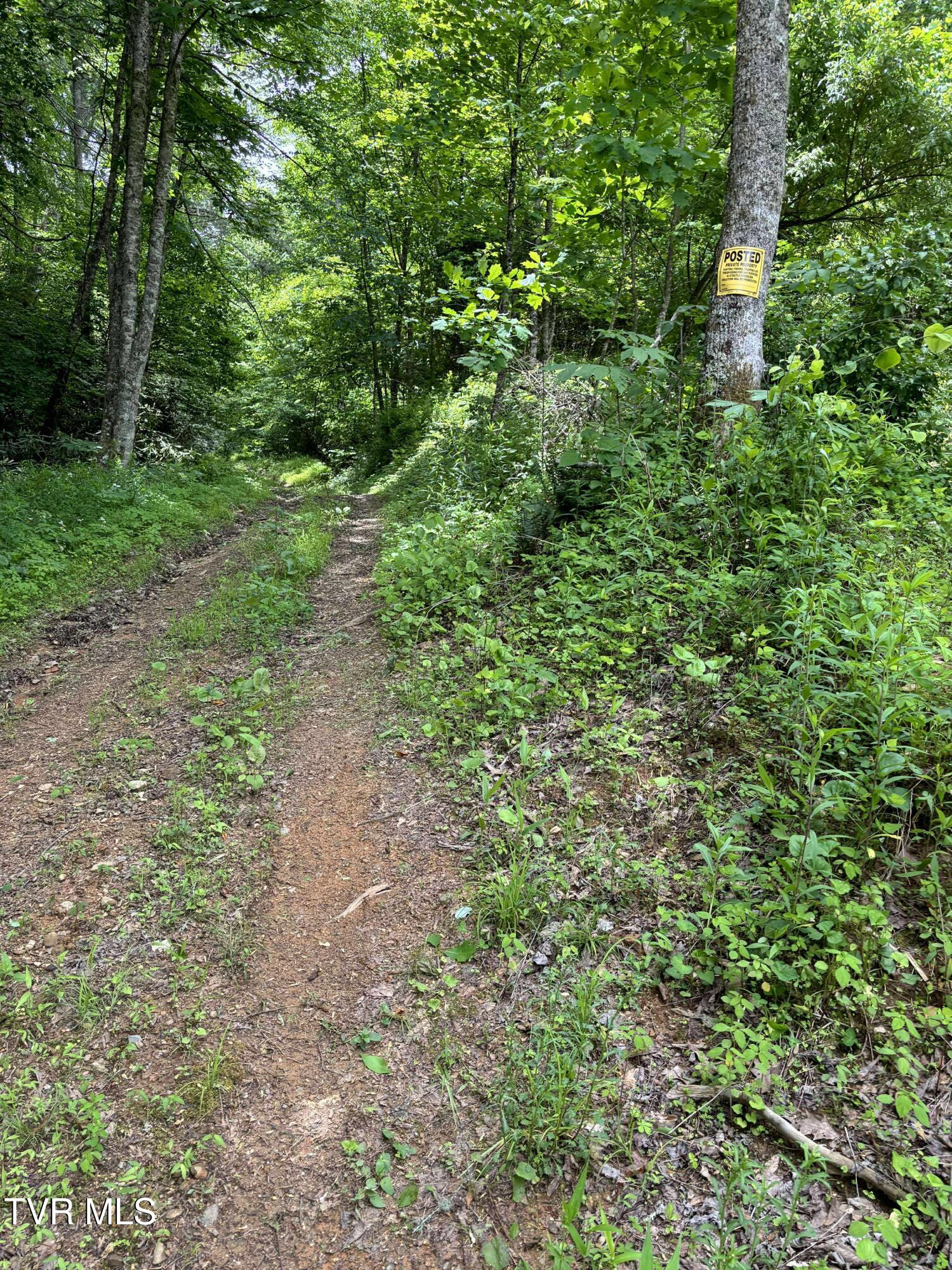 719 Simerly Creek Road Hampton, TN 37658 - Photo 3 of 16 received_674536615344718