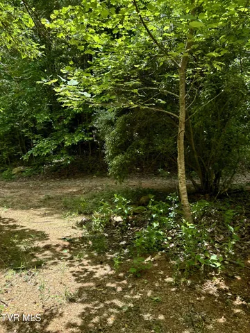 $85,000 | 719 Simerly Creek Road, Hampton, TN 37658