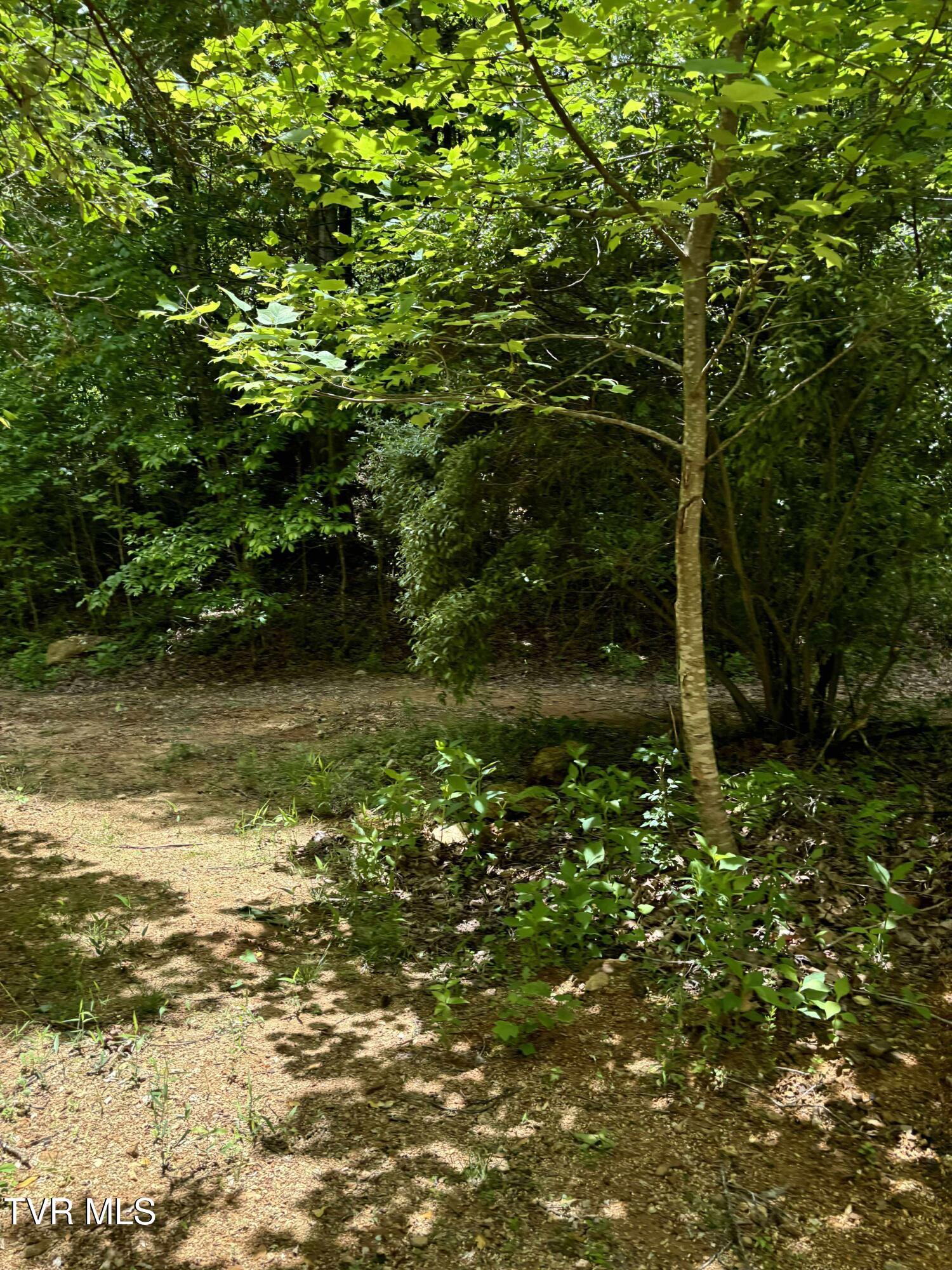 719 Simerly Creek Road Hampton, TN 37658 - Photo 4 of 16 received_4077969882449900