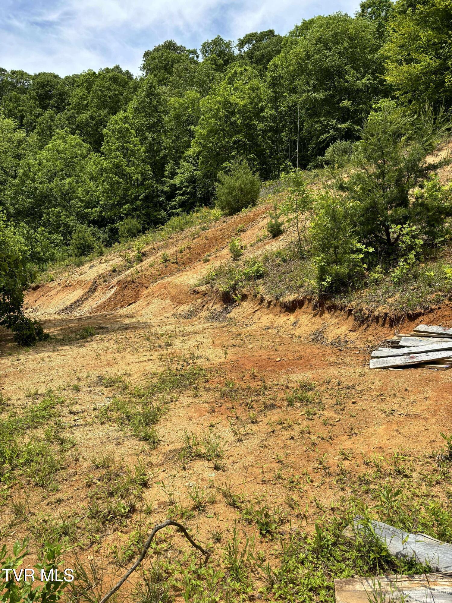 719 Simerly Creek Road Hampton, TN 37658 - Photo 5 of 16 received_2093946807766716