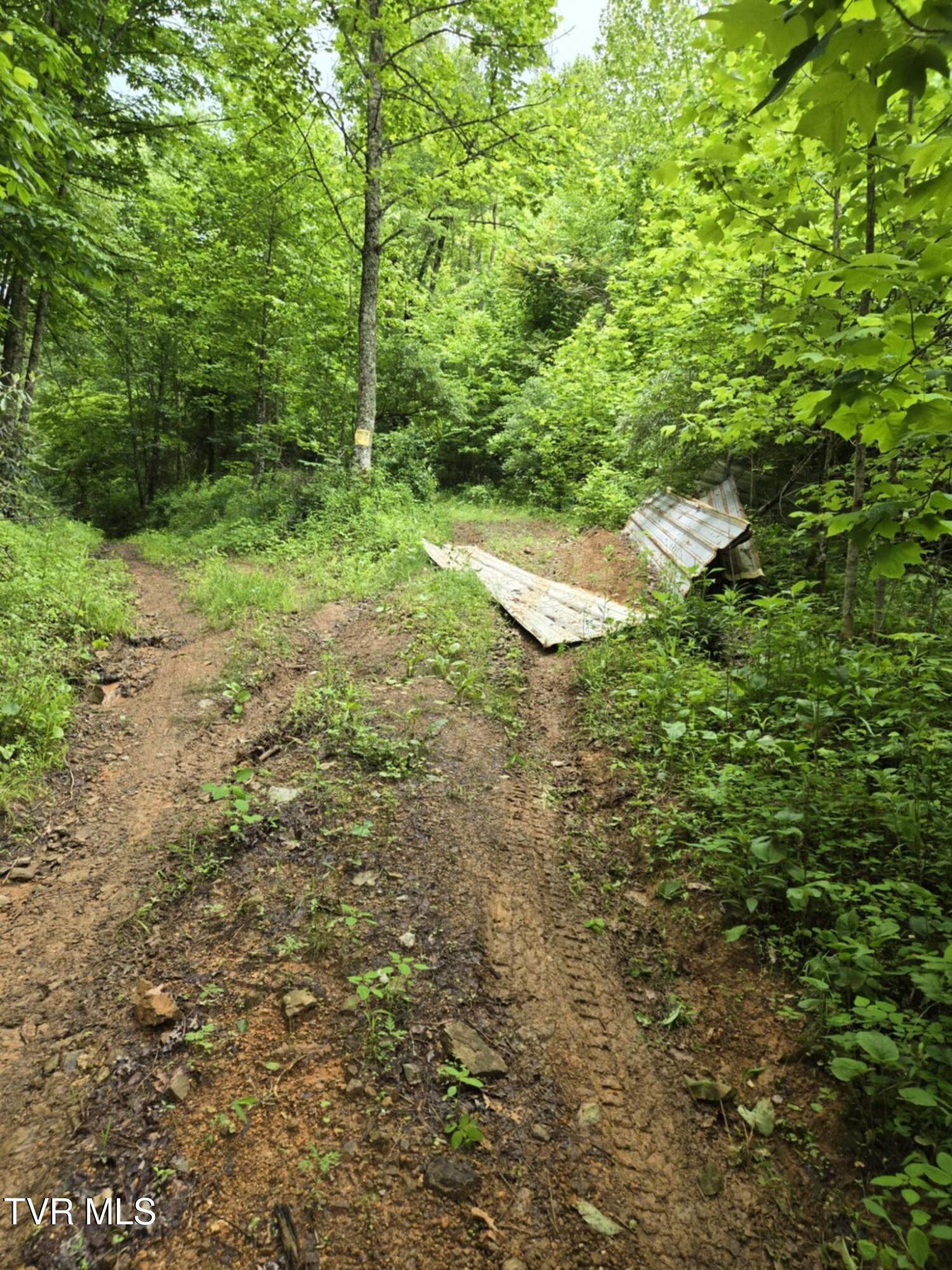 719 Simerly Creek Road Hampton, TN 37658 - Photo 7 of 16 Messenger_creation_4115CED6-0729-4CEF-BF