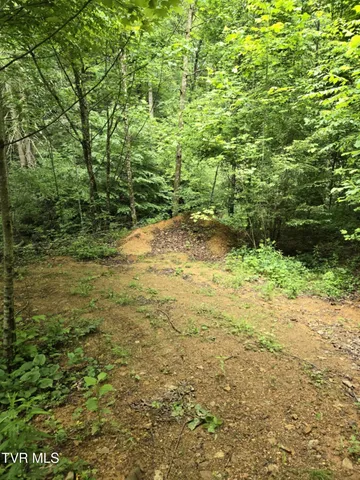 $85,000 | 719 Simerly Creek Road, Hampton, TN 37658