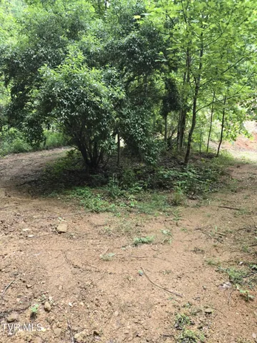 $85,000 | 719 Simerly Creek Road, Hampton, TN 37658