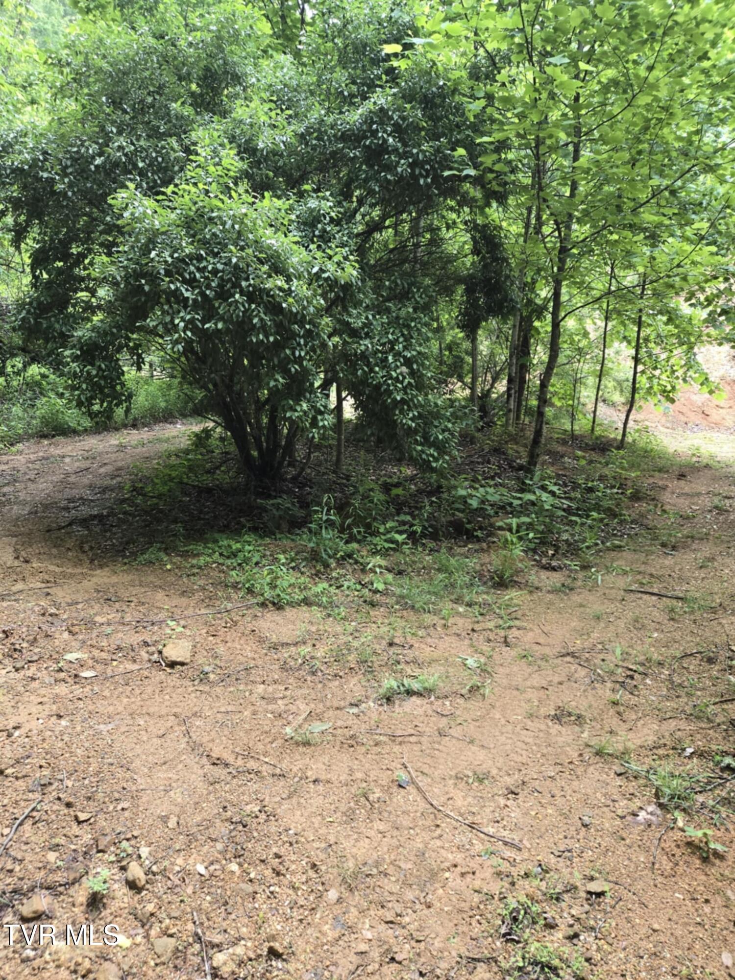 719 Simerly Creek Road Hampton, TN 37658 - Photo 9 of 16 Messenger_creation_3C245921-D7C7-4217-8B