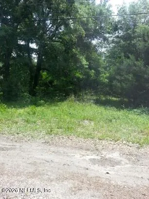 a view of a yard with potted plants and large trees